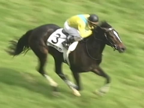 ウオッカ】歴史的牝馬、東京優駿に現る/07年日本ダービー - YouTube