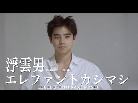 THE ELEPHANT KASHIMASHI 