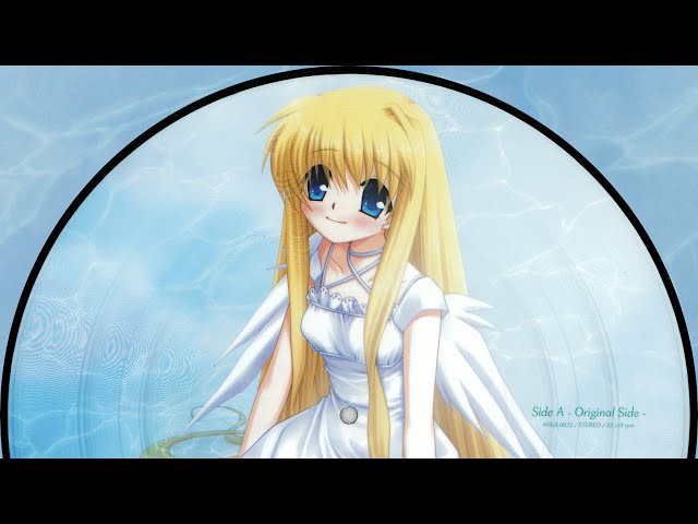 鳥の詩(TORI NO UTA) ／ FAREWELL SONG 〜AIR ANALOG COLLECTOR'S