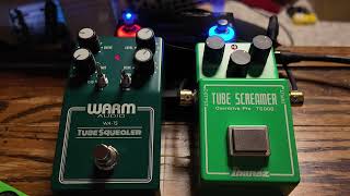 Is this the only TS pedal you need? Comparing the WARM AUDIO Tube