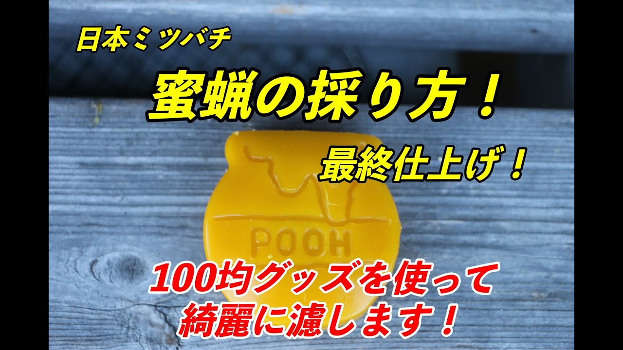 日本ミツバチ、巣クズから蜜蝋を採ろう！Part3 仕上げ編！綺麗に濾して