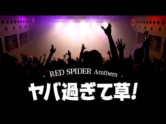 絶対聴いて欲しいレッドスパイダーDUB Anthem 特集！ - YouTube