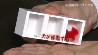 不思議なドッグハウス