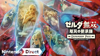 Nintendo Switch『ゼルダ無双 厄災の黙示録』追加コンテンツ