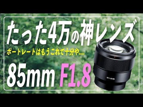SONY単焦点レンズ】4万で買えるソニーのレンズ「FE 85mm F1.8」が神