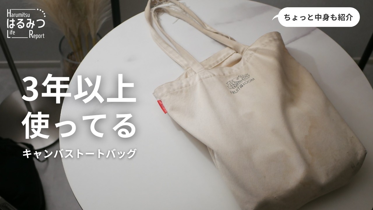 Introducing my favorite canvas tote bag that I've been using for 3