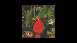 Shambara - シャンバラ / Shambara (FULL ALBUM) - 1989 - YouTube