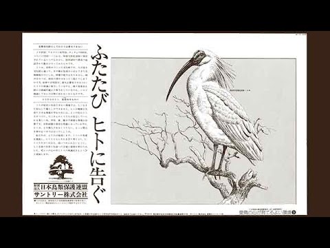 サントリーの愛鳥活動『愛鳥キャンペーン新聞広告』 2分55秒