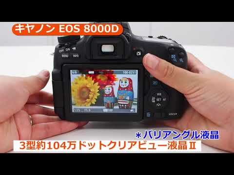 キヤノン EOS 8000D ダブルズームキット | デジタル一眼レフ