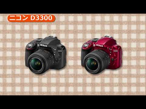 ニコン D3300 18-55 VR II レンズキット ブラック | デジタル一眼レフ