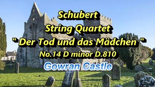 シューベルト 弦楽四重奏曲『死と乙女』Schubert String Quartet ” Der