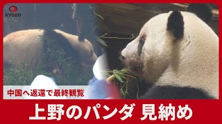Ueno pandas to be seen for the last time as they are returned to