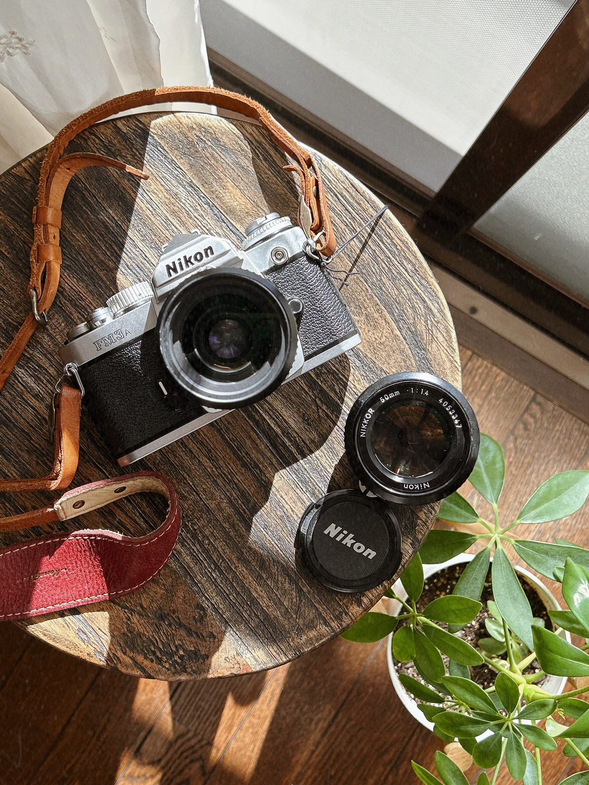 作例レビュー】NikonFM3A #わたしのカメラ vol.170｜ニコンのカメラ