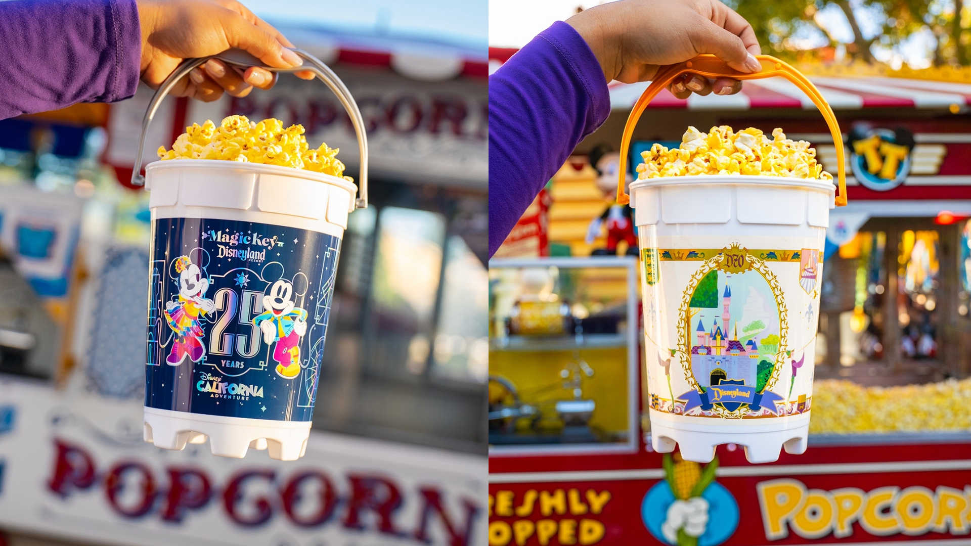 ディズニーランド・リゾート記念アニバーサリー仕様のリフィル式