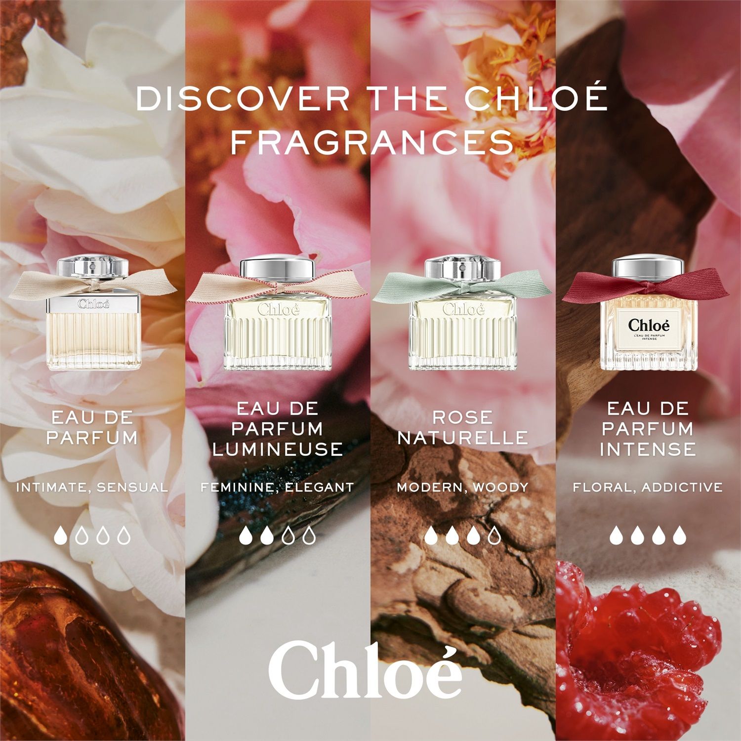 Chloé L'Eau de Parfum Intense 50ml | Confronta prezzi | Trovaprezzi.it
