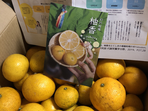 完熟ゆこう 3000g 生産量が少なくスーパーでは出回らない「幻の果実