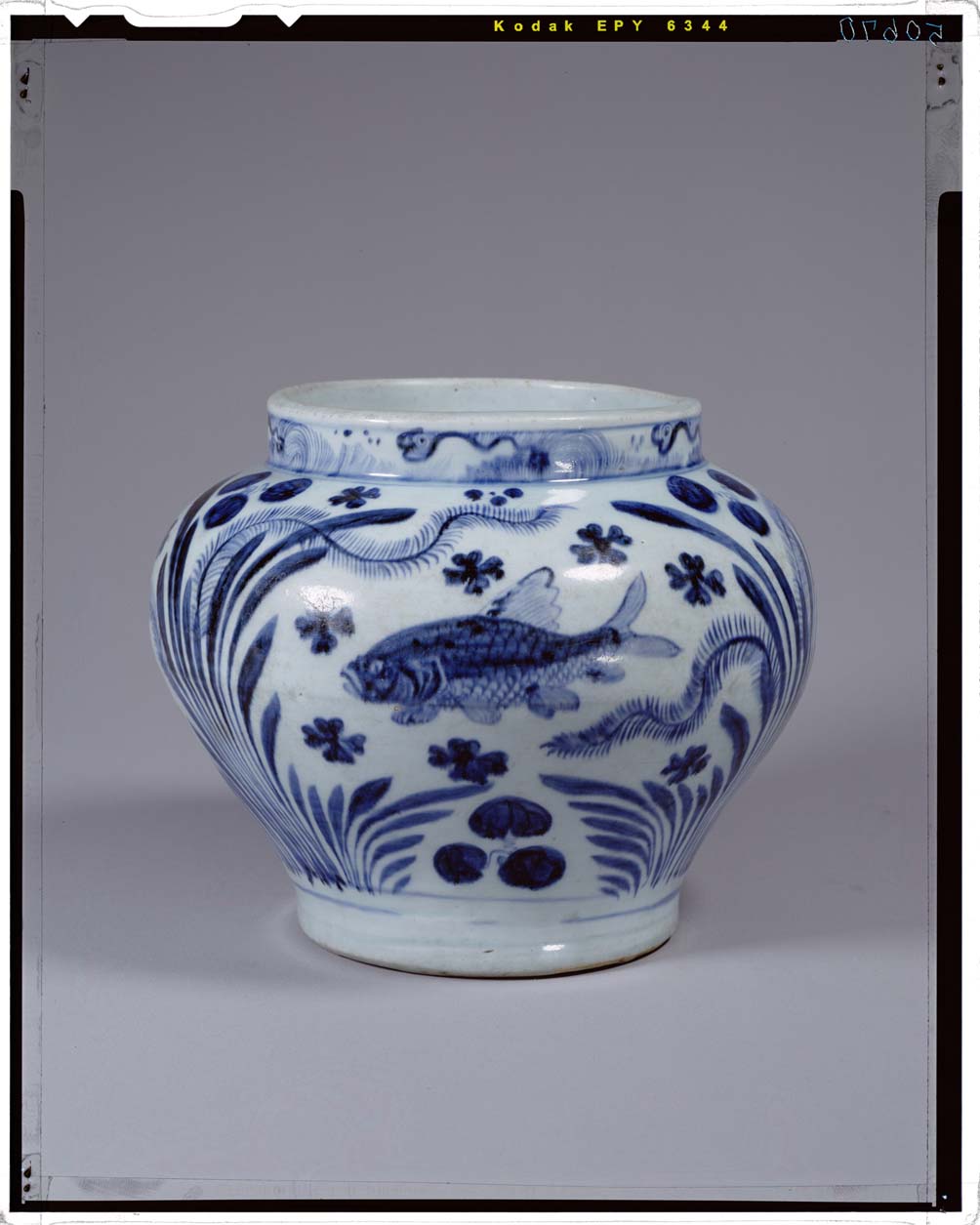 中国 青花 花卉魚藻文瓶 壷 C R5596C