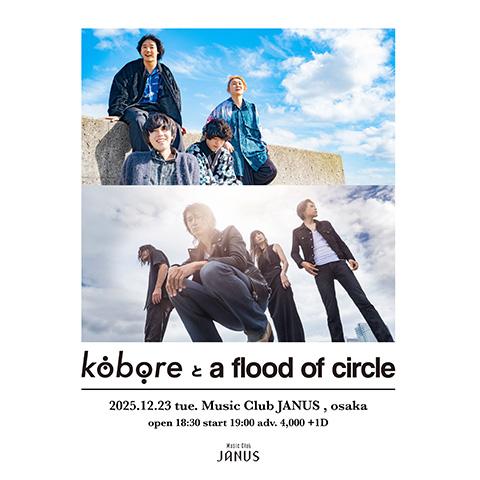 kobore／a flood of circle(コボレアフラッドオブサークル) | チケット