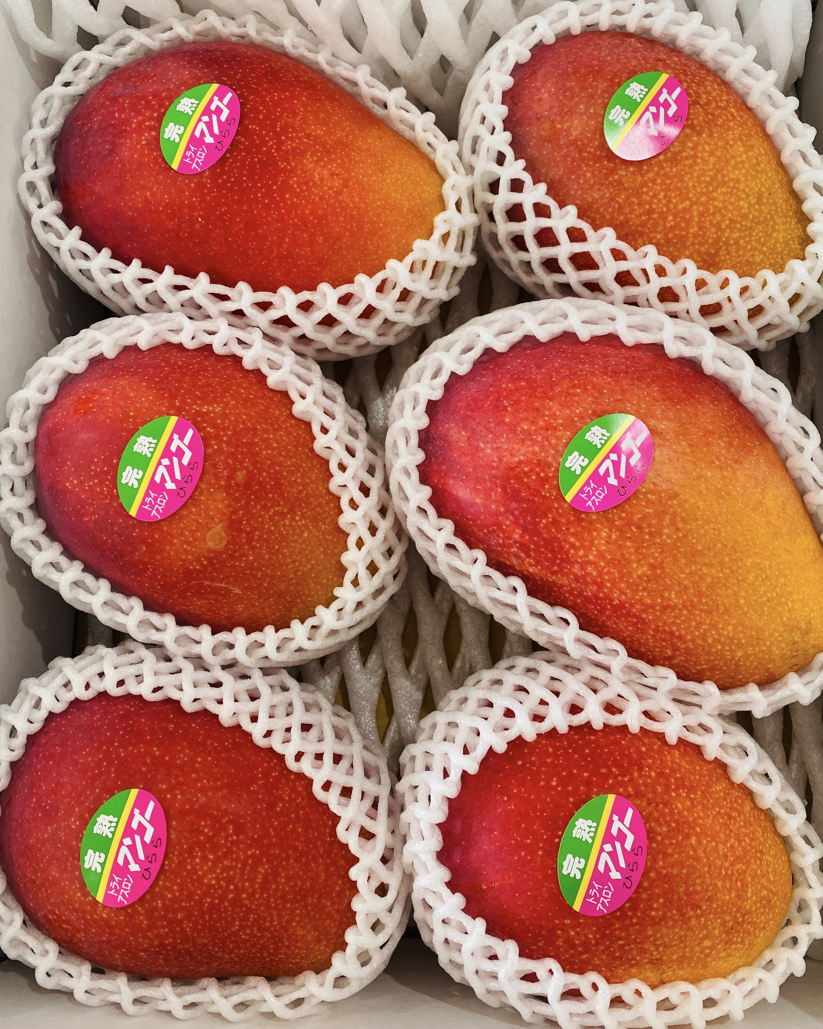 宮古島産【贈答用マンゴー】3kg 県外発送 | 大野果樹園／宮古島