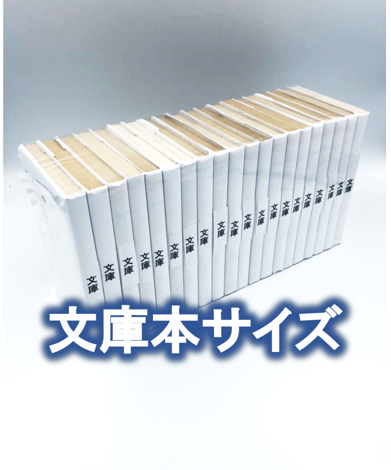 廉価版※【100枚入り】文庫サイズ約20冊用☆スプラータ☆セット本梱包