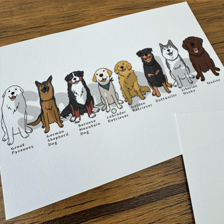 シベリアンハスキー | STORES