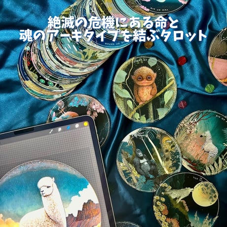 海外アーティスト直輸入 | STORES