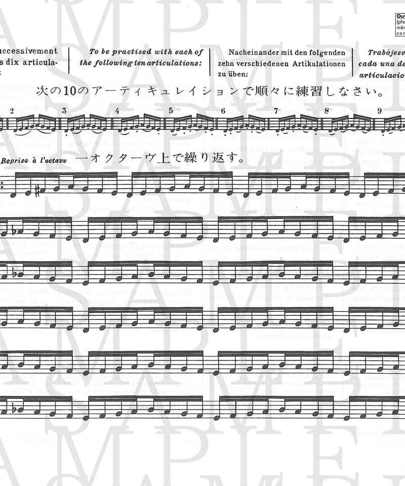 AL17204】タファネル & ゴーベール：17のメカニズム日課大練習