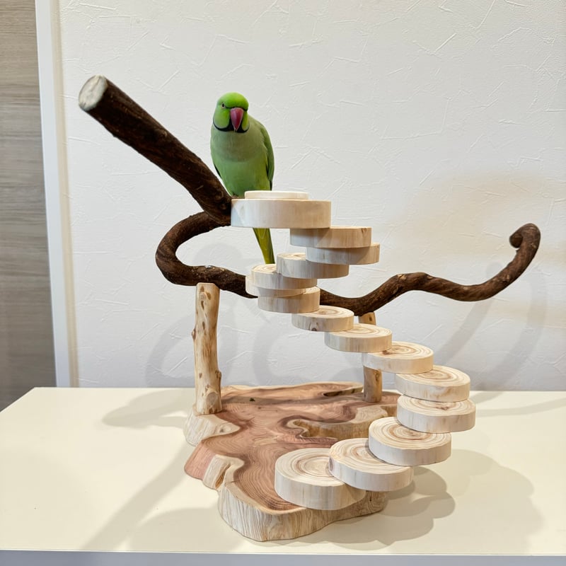 自然木（ツタ）と螺旋階段のバードアスレチック【インコのおもちゃ