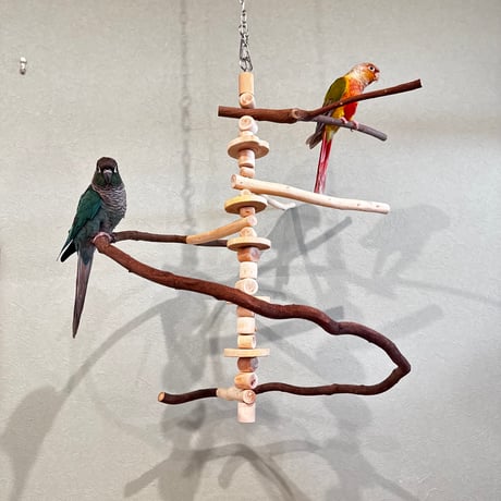 CATEGORY バードアスレチック | 自然木の鳥用品 鳥豆堂【トリマメドウ