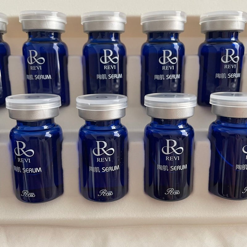 REVIスプレーガンセット | A.reflet STORE