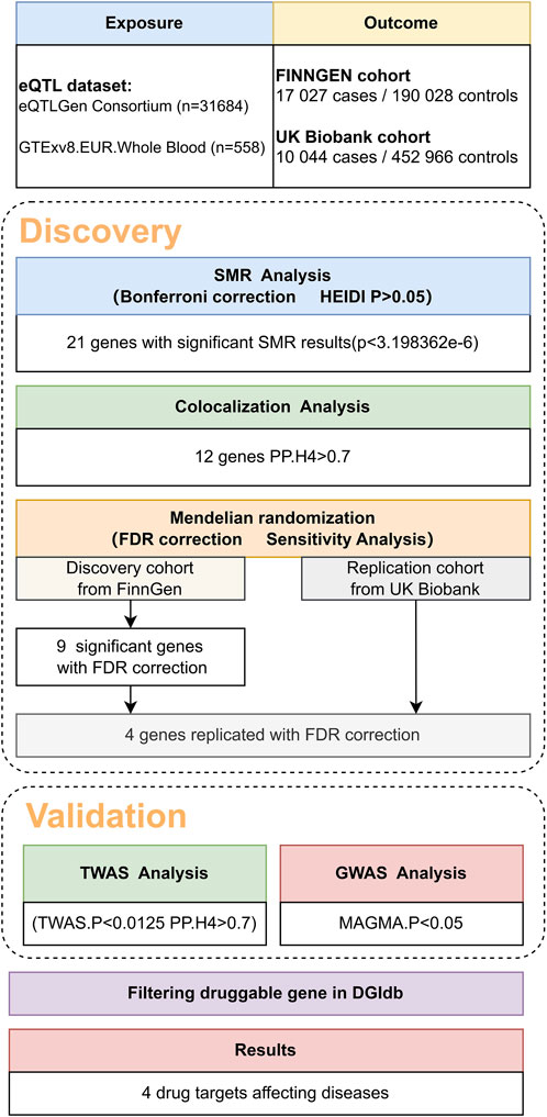 Frontiers | Identifying potential drug targets for varicose veins