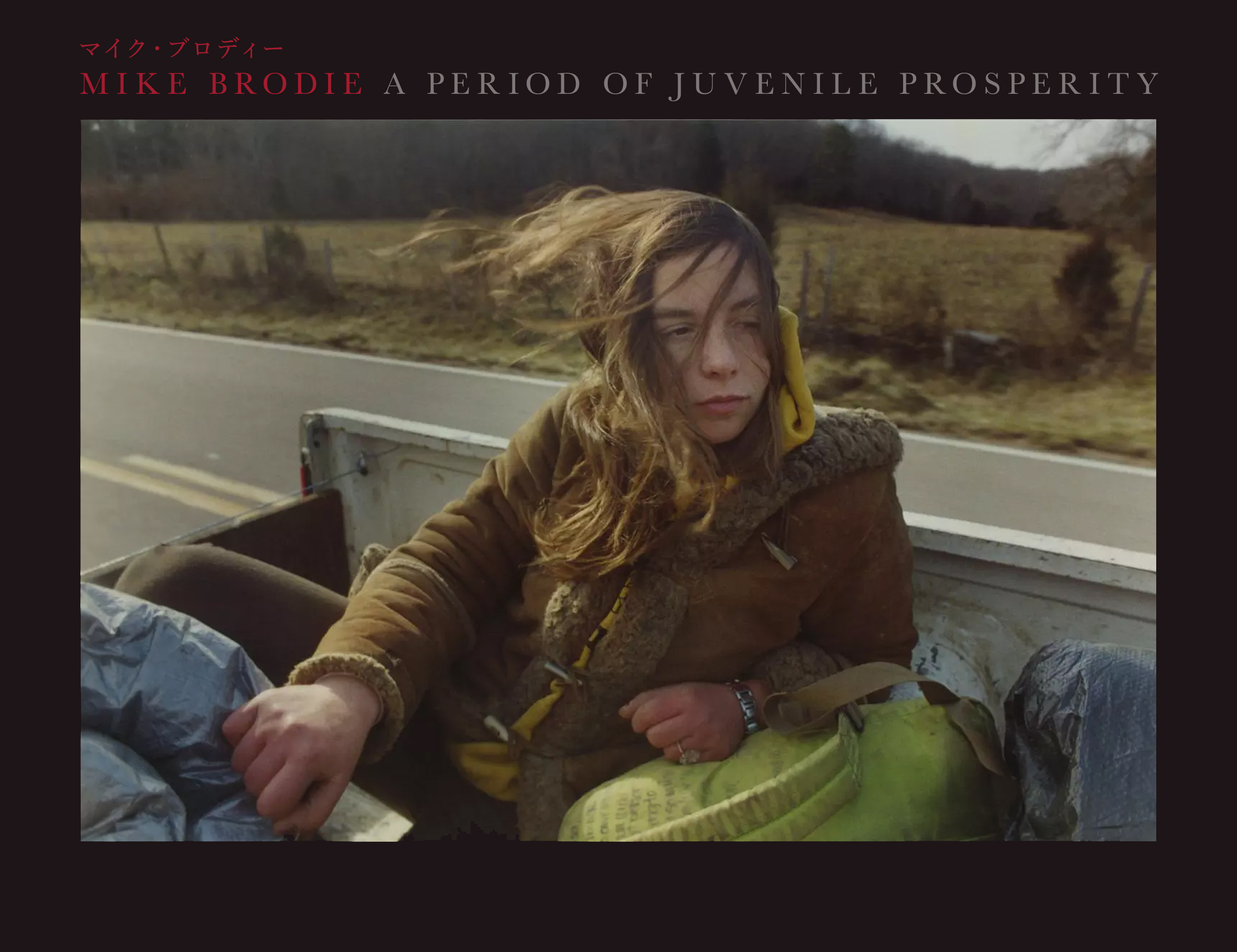 マイク・ブロディ 「A Period of Juvenile Prosperity」 （Gallery