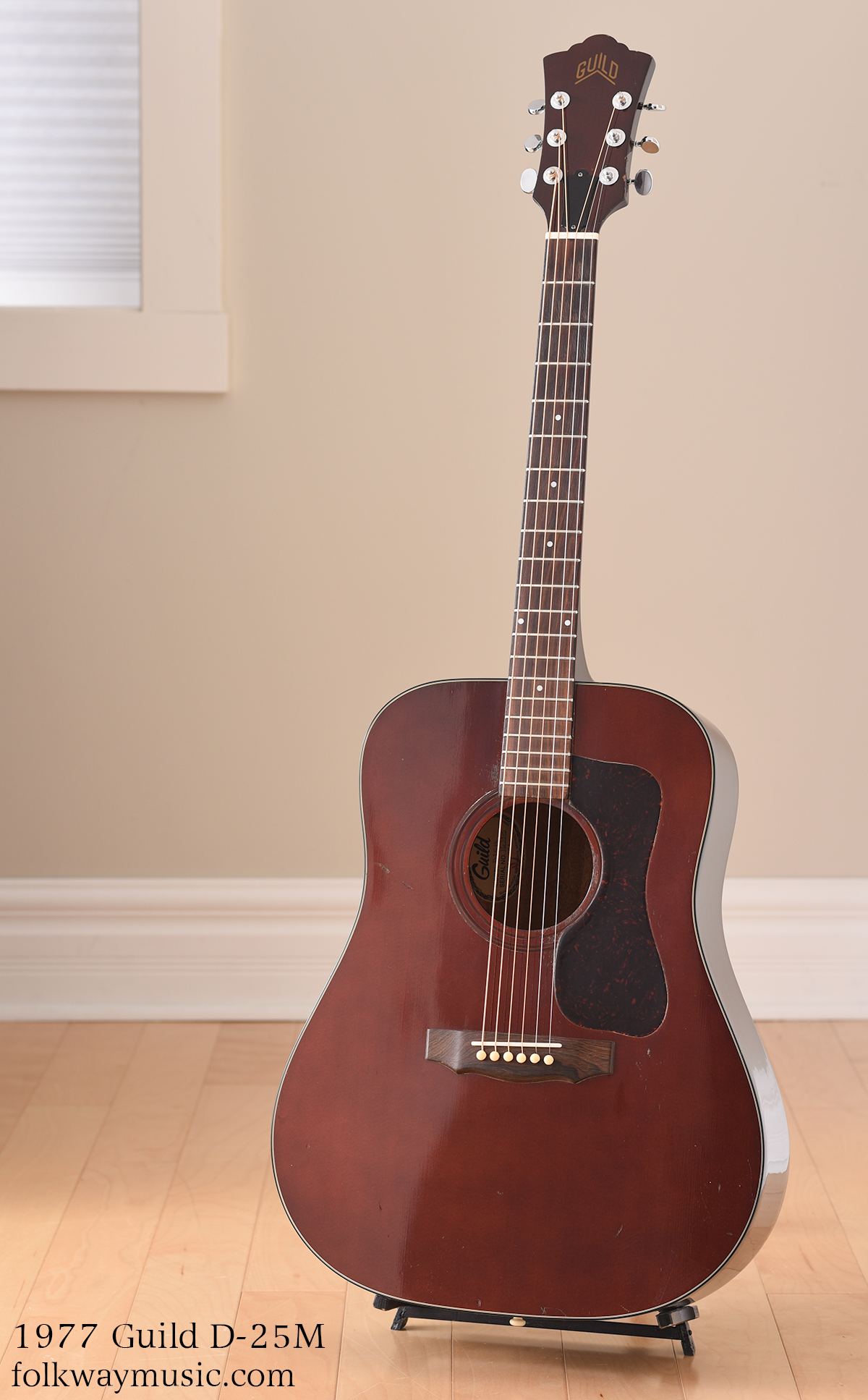 マウンテン＜W-450＞日本製・林楽器製作・トップ単板 guildタイプ