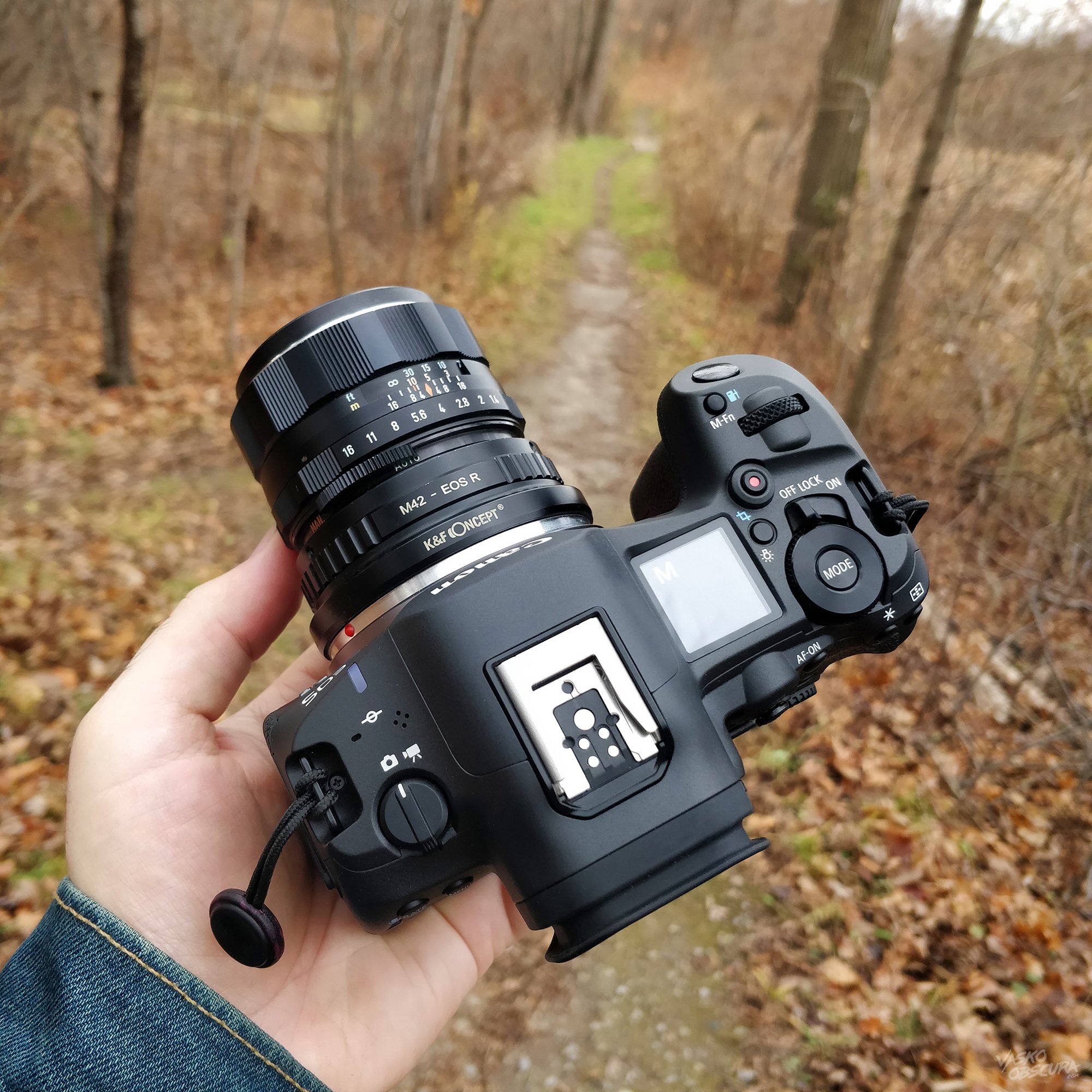 Asahi SMC Takumar 50mm f1.4 - Autumn Walk