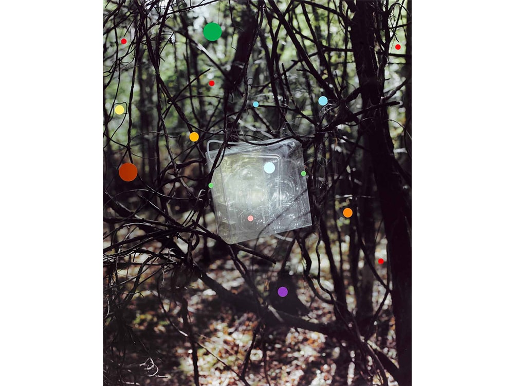 ジェイソン・エヴァンズ／Jason Evans | IMAPEDIA | IMA ONLINE