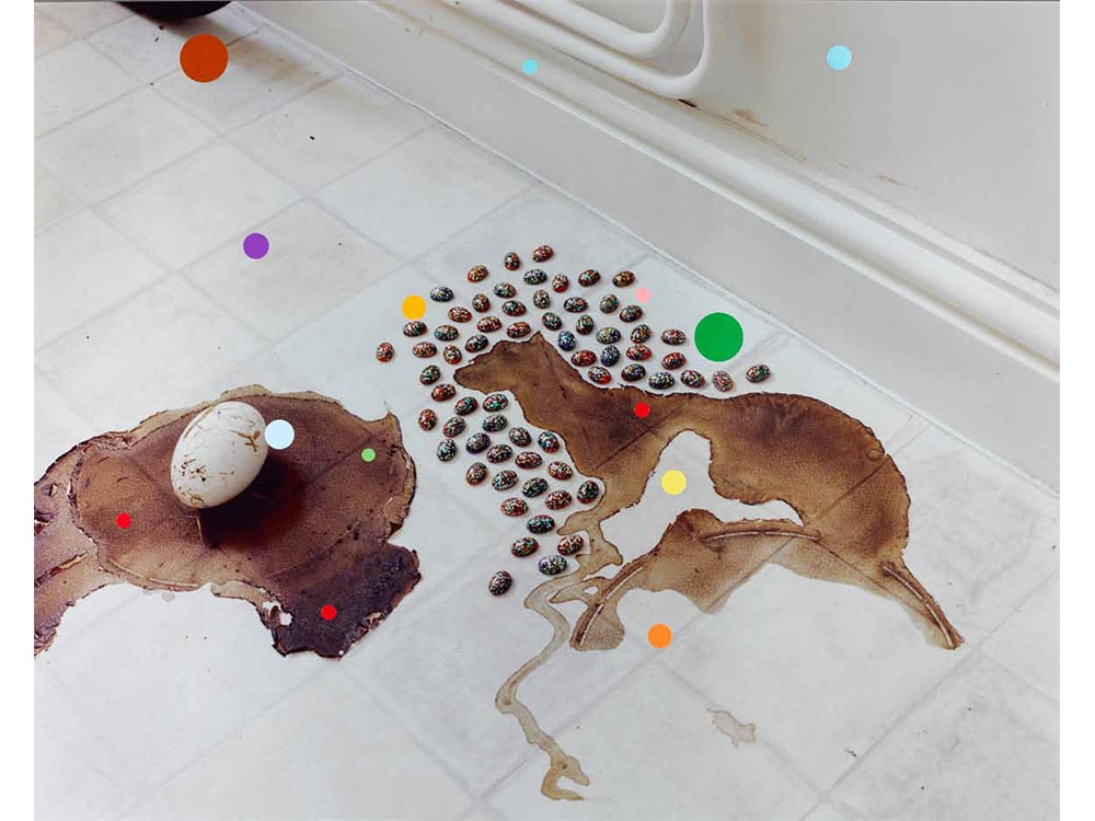 ジェイソン・エヴァンズ／Jason Evans | IMAPEDIA | IMA ONLINE