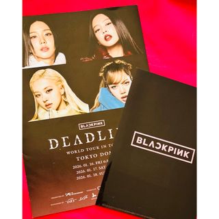 BLACKPINK - BLACKPINK ロゼ - R - フォトカードコンプセット トレカの