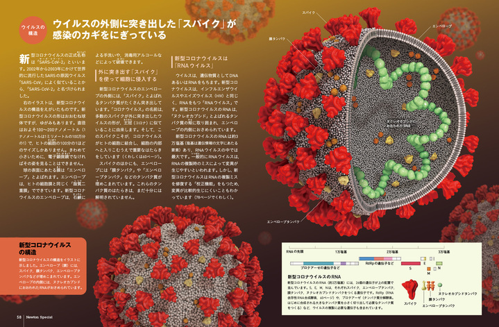 Newton（ニュートン）｜定期購読 - 雑誌のFujisan