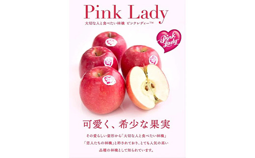 2026年3月発送開始】希少品種ピンクレディ 山形県産 りんご（ピンク