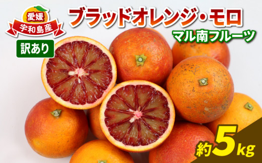 訳あり ブラッドオレンジ モロ 5kg 不揃い マル南フルーツ 先行予約
