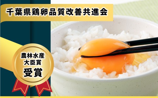 ぷりんセス・エッグ 30個『北川鶏園 房総のあおぞら農場』｜たまご