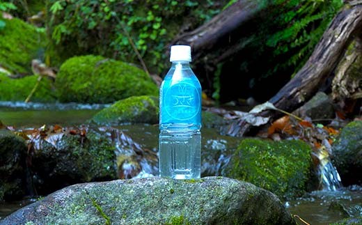 マッコイ斉藤共同開発！！ 月山自然水 うさぎ 500ml×24 オリジナル