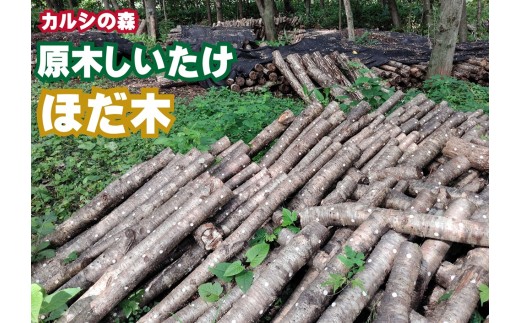 原木しいたけ栽培セット・ホダ木4本入り ※離島への配送不可 | しいたけ