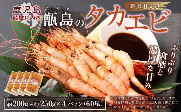 BS-334 甑島のタカエビ（薩摩甘えび）60尾(15尾×4パック) - 鹿児島県