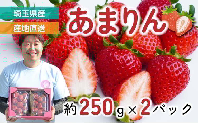 いちご あまりん 2パック 約500g (1パック 約250g 9～15粒) | あまりん