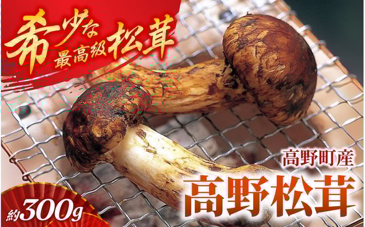 sd1_d45155ddfef3a0fe380dc7646a