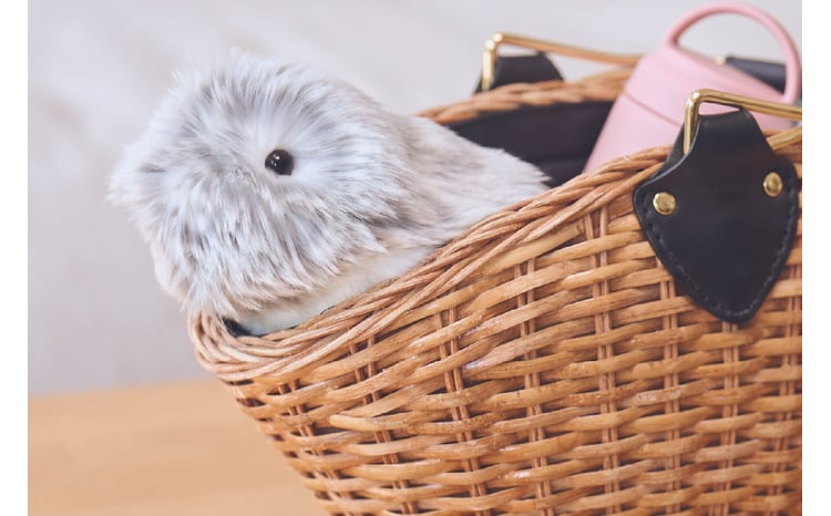 sd3_b11aea22bfb085a0310962ec4c