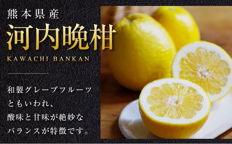 規格外品】河内晩柑 ご家庭用 15kg サイズ不選別【2026年3月下旬～6月