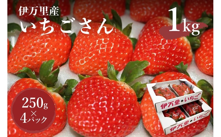 伊万里産「いちごさん」 250g×4 パック ～鶴田農園～ 046-B832【苺