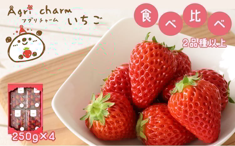 ✯NaluっP✯様 いちごチャーム専用 ✯NaluっP✯様 いちごチャーム専用